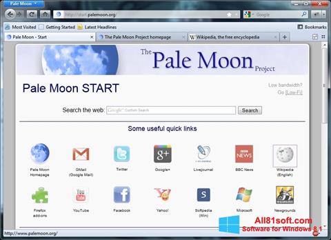 Képernyőkép Pale Moon Windows 8.1