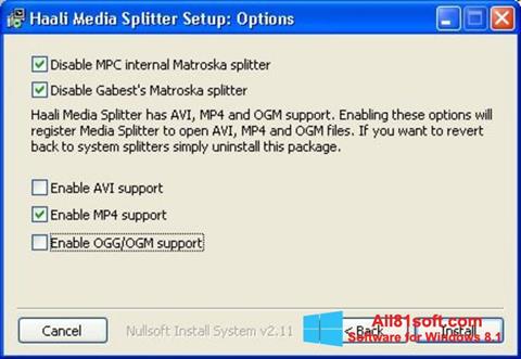 Képernyőkép Haali Media Splitter Windows 8.1