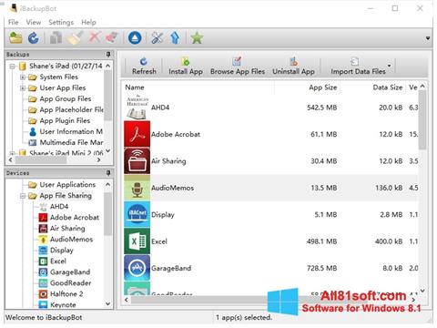 Képernyőkép iBackupBot Windows 8.1