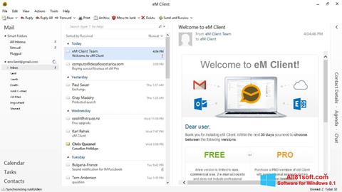 Képernyőkép eM Client Windows 8.1