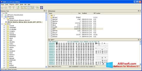 Képernyőkép DMDE Windows 8.1