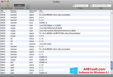Képernyőkép FileMon Windows 8.1