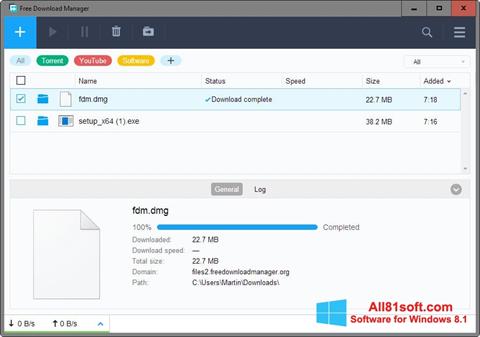 Képernyőkép Free Download Manager Windows 8.1
