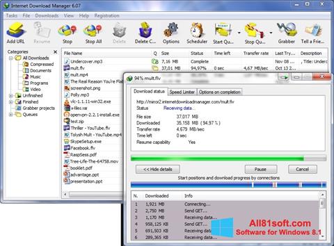 Képernyőkép Internet Download Manager Windows 8.1