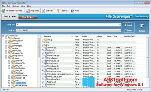 Képernyőkép File Scavenger Windows 8.1