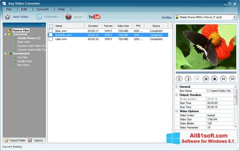 Képernyőkép Any Video Converter Windows 8.1