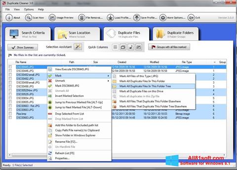 Képernyőkép Duplicate Cleaner Windows 8.1