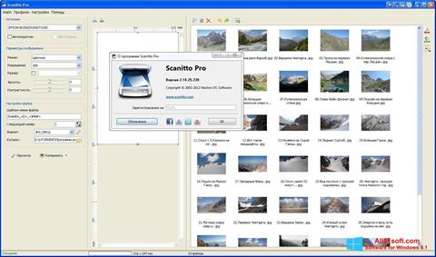 Képernyőkép Scanitto Pro Windows 8.1